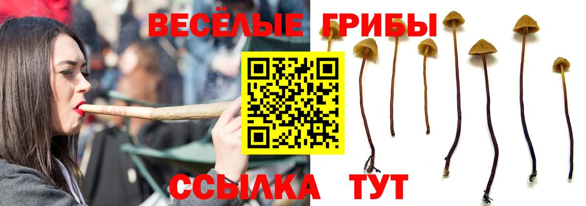 Кунгур  Псилоцибиновые грибы ЛСД  Вход с VPN 