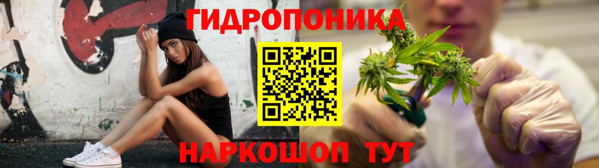 Шишки марихуана OG Kush Кунгур